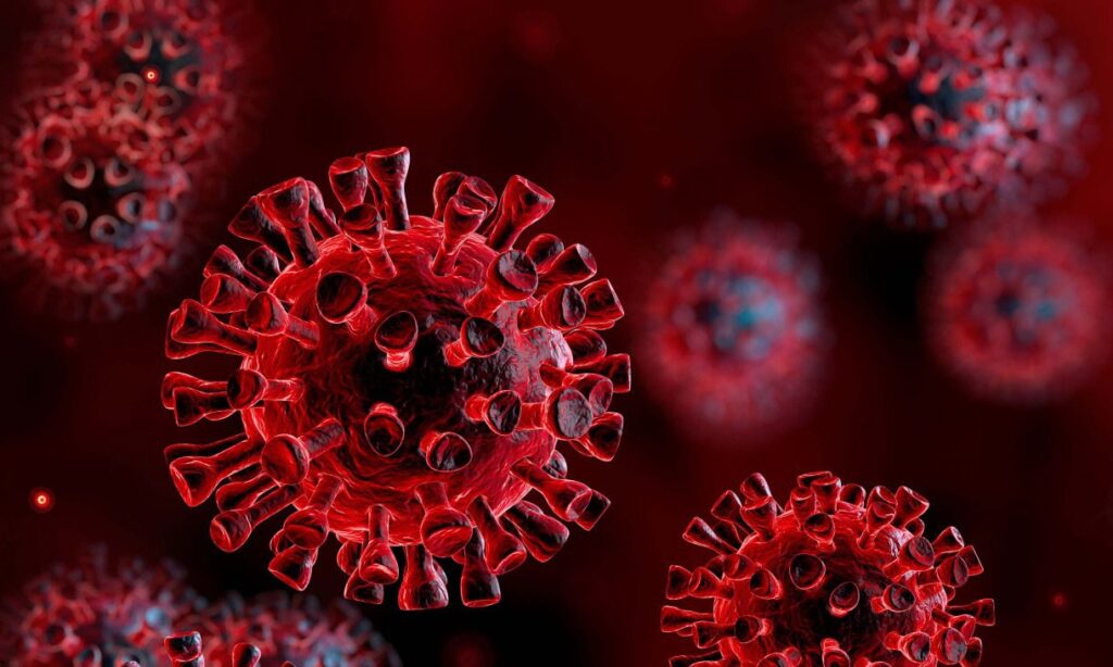 Galarnyk LTD - Coroona Virus Information